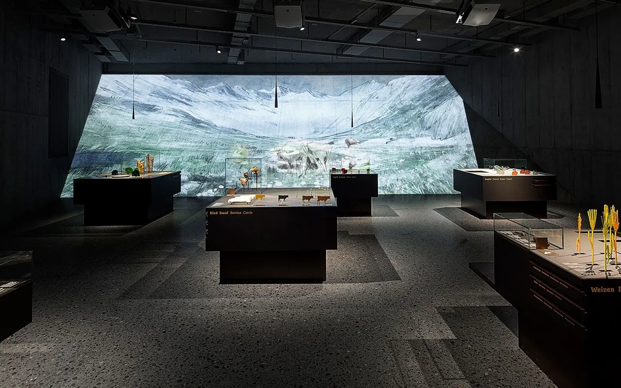 展廳搭建 ，展廳 ，鑫時空